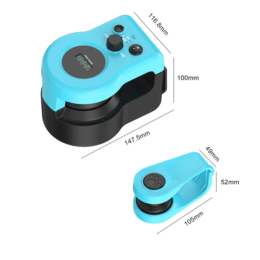 DIY Mouse Hunting Cat Toy Treadmill For Indoor Cats