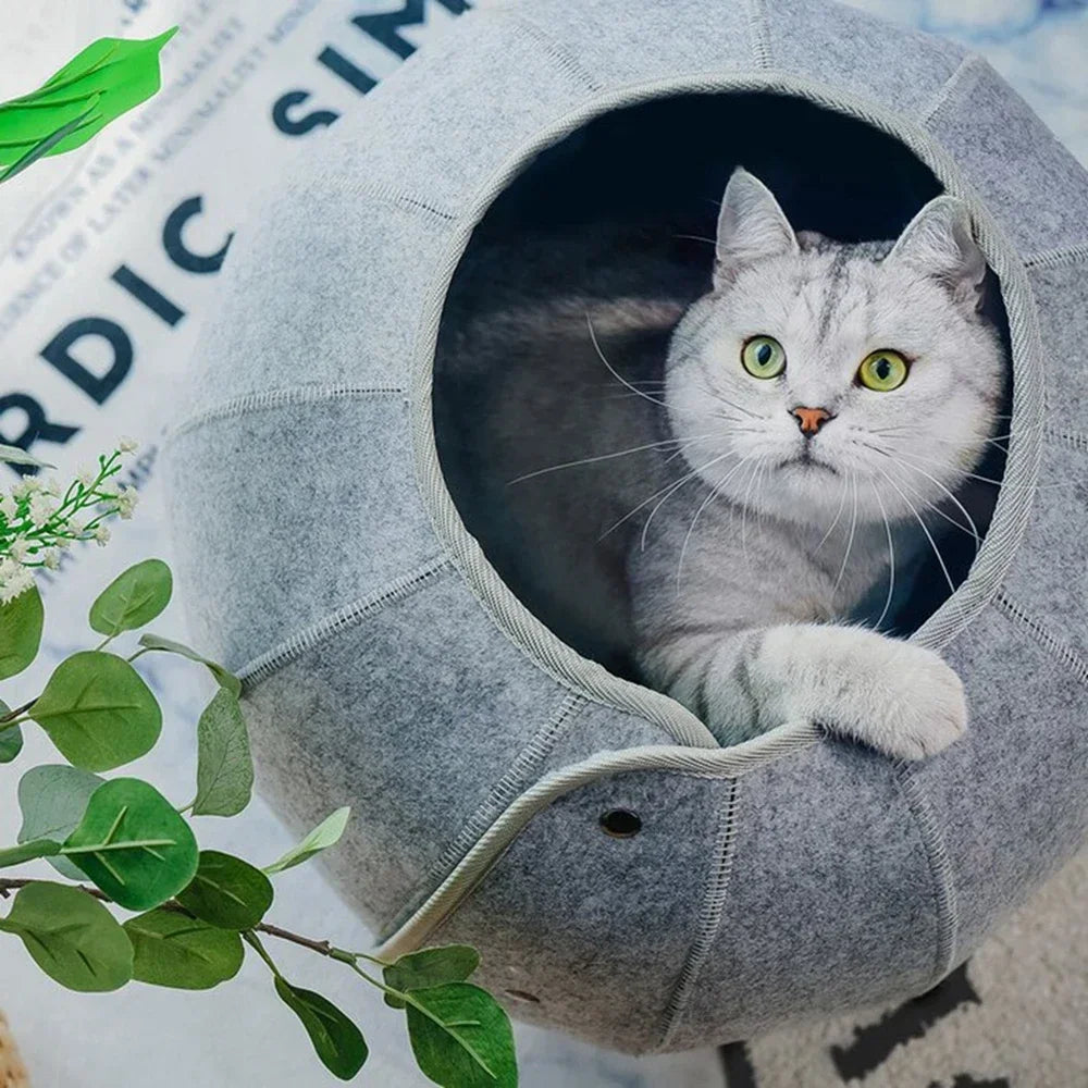 Cat Bed Tunnel Indoor Cat House And Interactive Toy