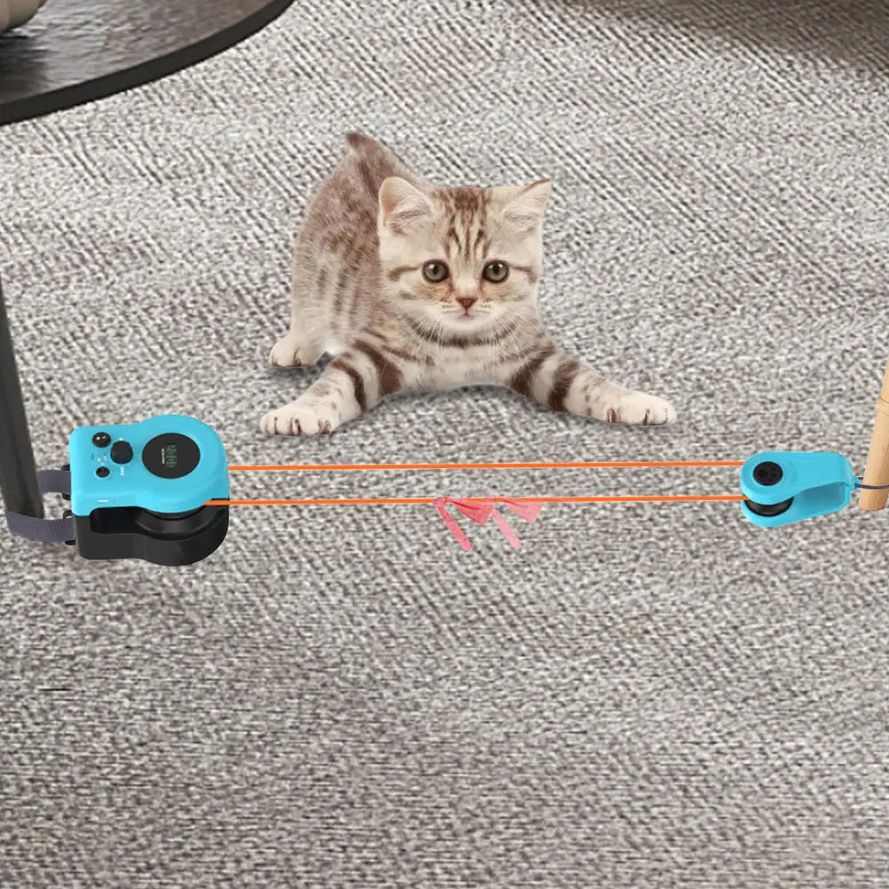 DIY Mouse Hunting Cat Toy Treadmill For Indoor Cats