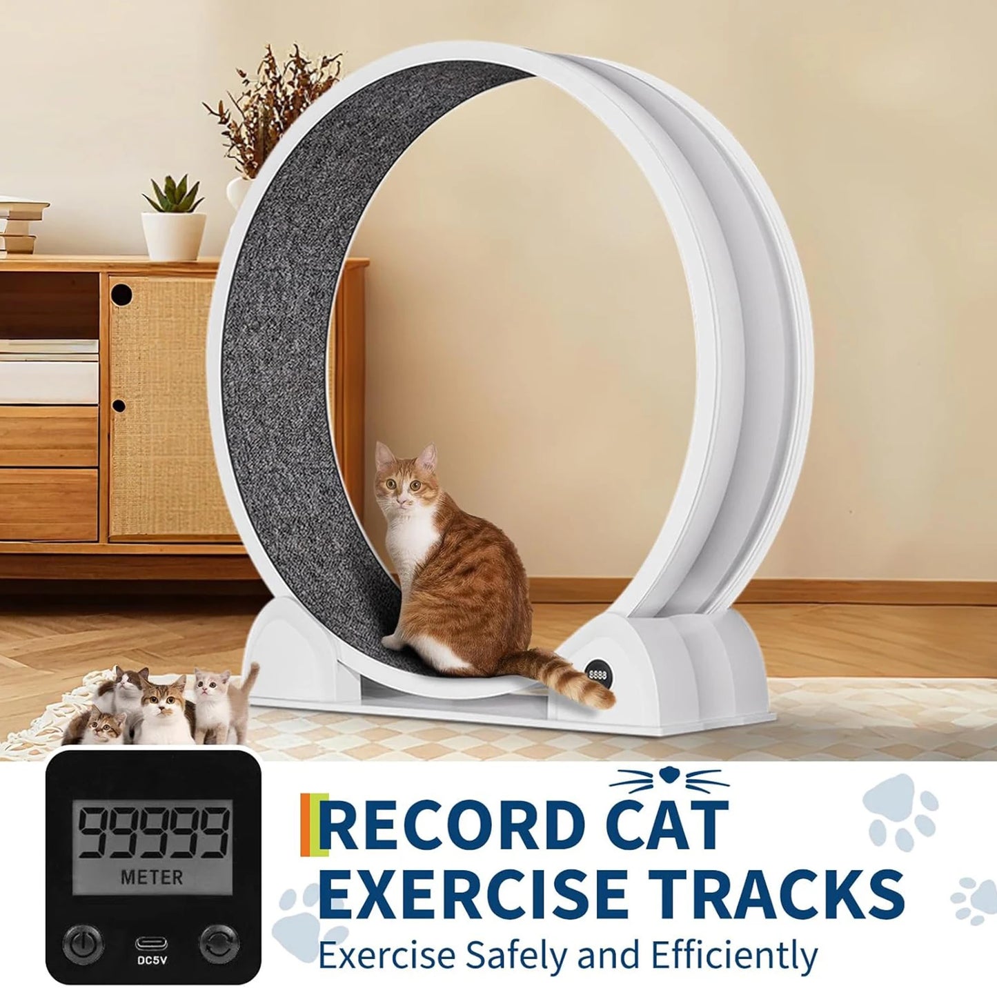 HiMISSCN Cat Exercise Wheel Indoor Quiet ABS Treadmill With Pedometer
