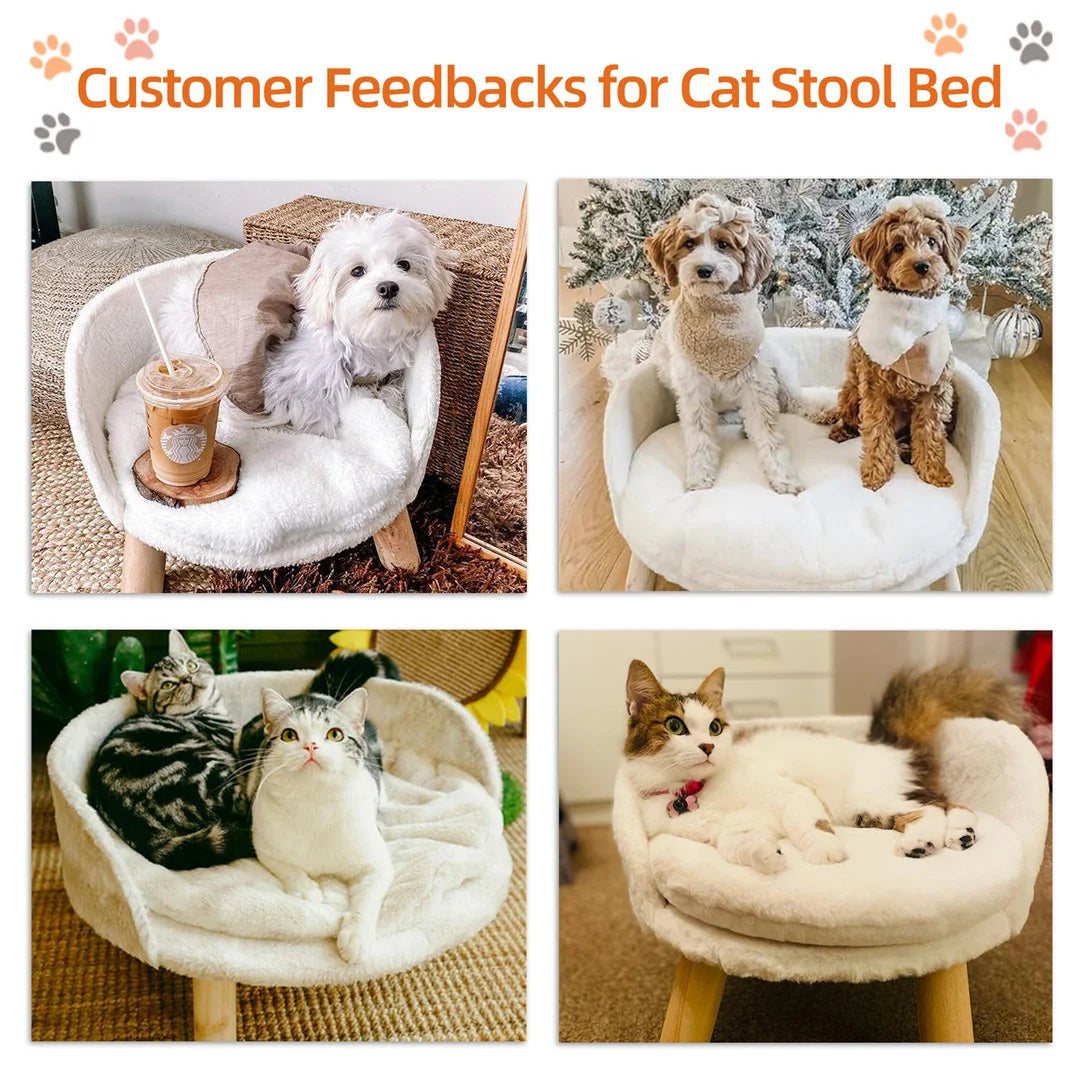 BINGOPAWCN Luxury Cat Bed Soft Plush Waterproof Nest With Wood Legs