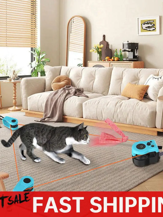 DIY Mouse Hunting Cat Toy Treadmill For Indoor Cats