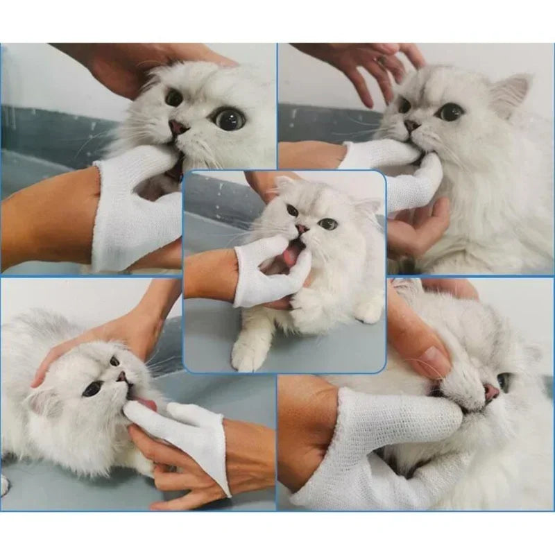 Hign-concerned Two Finger Pet Tooth Brush For Dogs Cats