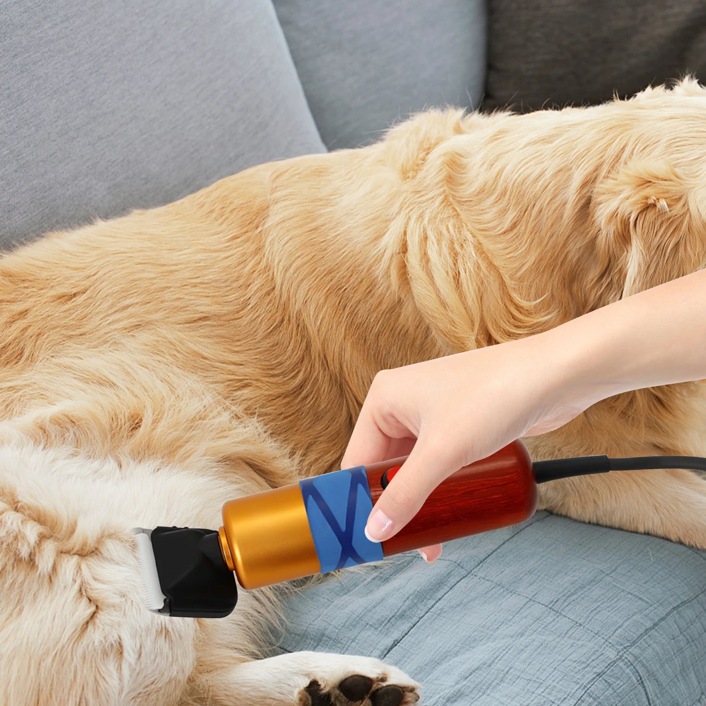 Pet Hair Clipper Low Noise High Efficiency Professional