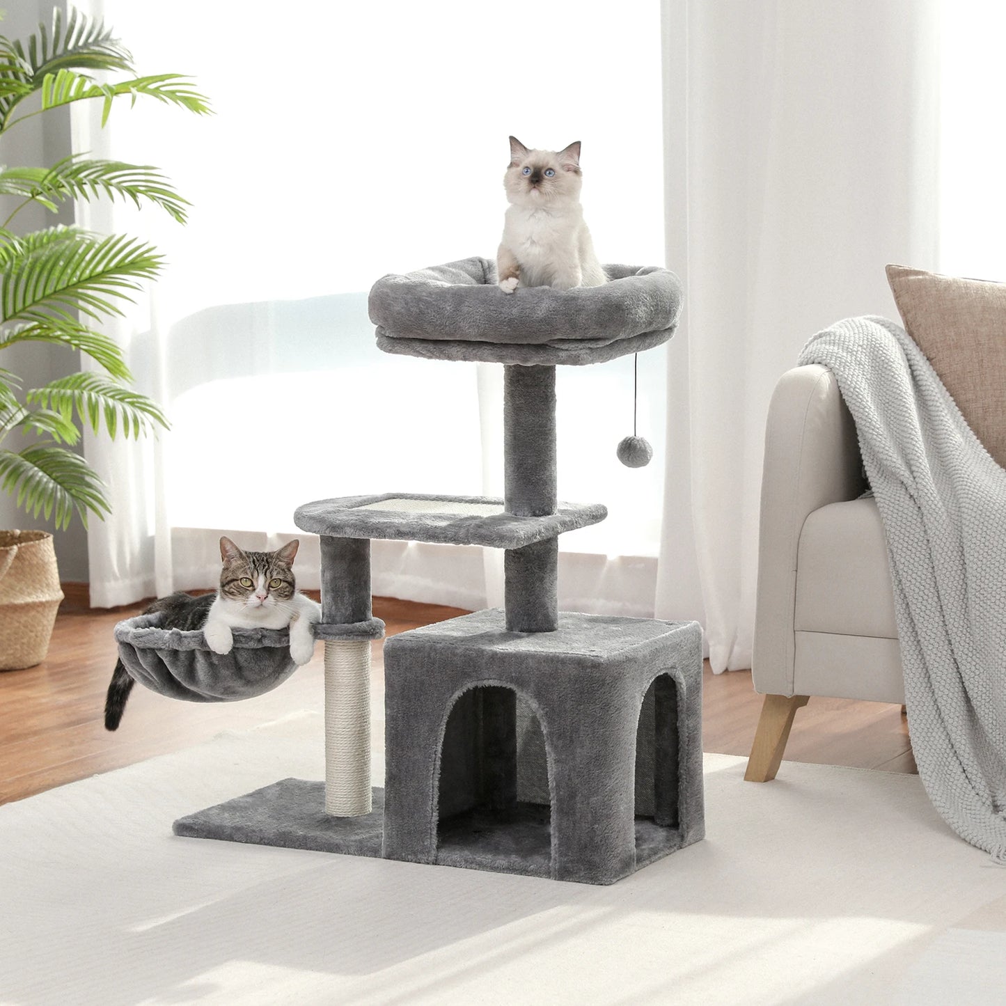 PAWZ Road Cat Tree For Small Indoor Cats With Condo