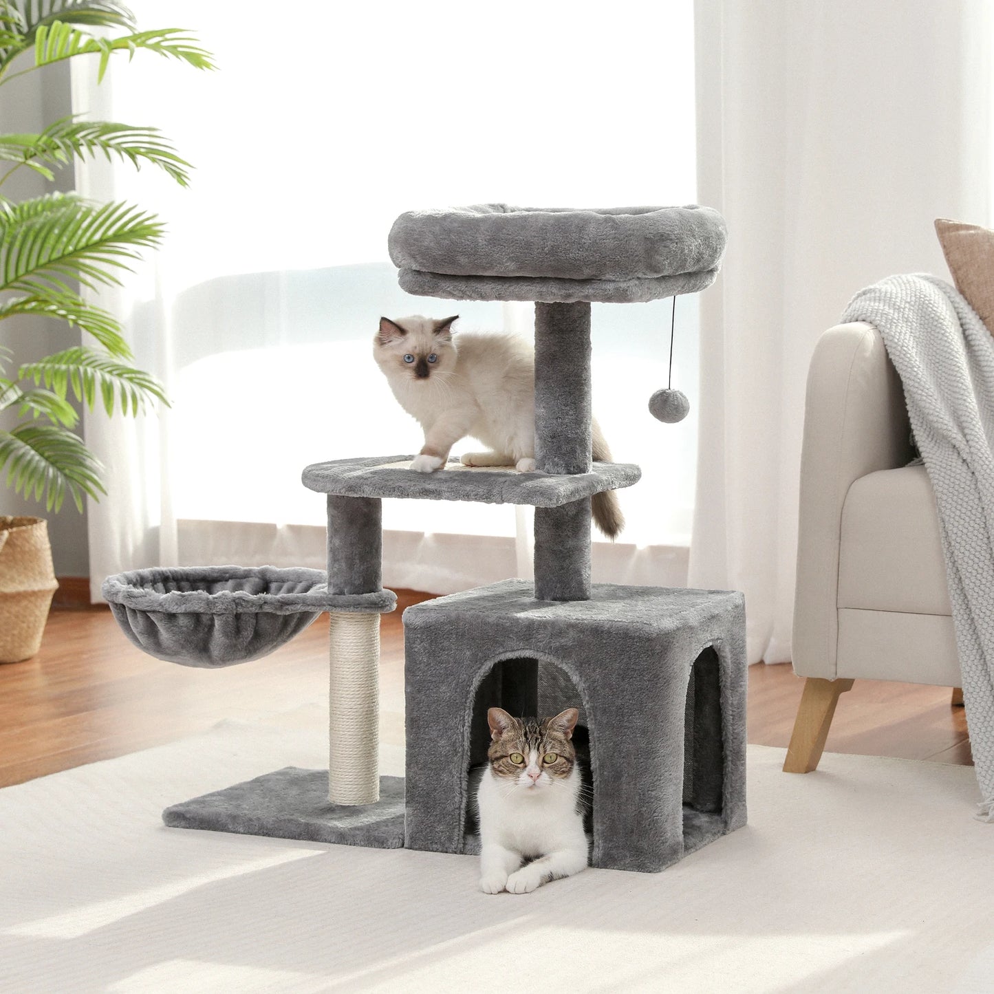 PAWZ Road Cat Tree For Small Indoor Cats With Condo